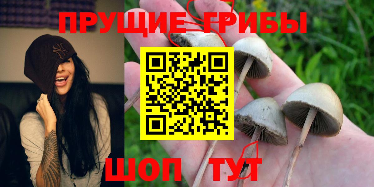 Галлюциногенные грибы MAGIC MUSHROOMS Знаменск